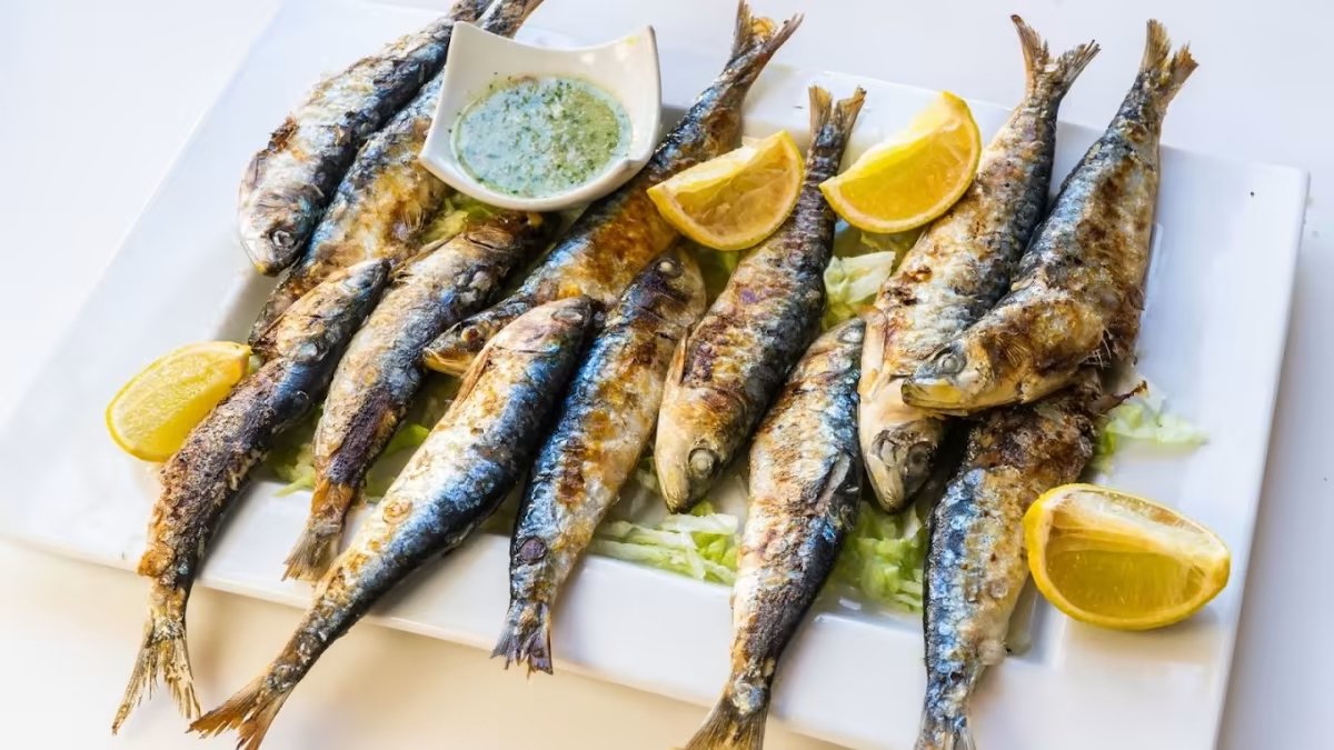 image-20230425-115507