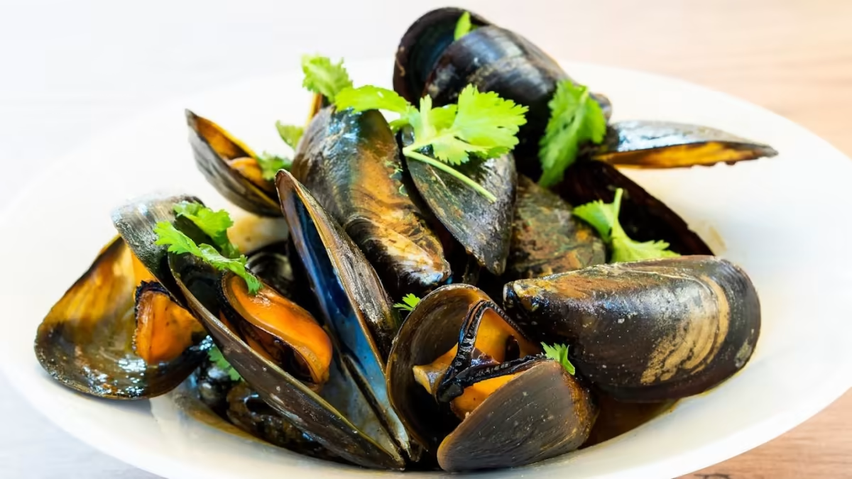 image-20230425-115519